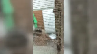 Milf With Huge Tits Naked In Bathroom Caught On Camera