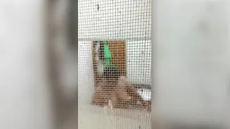Milf With Huge Tits Naked In Bathroom Caught On Camera