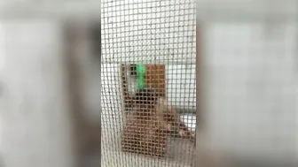 Milf With Huge Tits Naked In Bathroom Caught On Camera