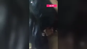 Bengali Slut Sucking Cock And Showing Off Naked Body