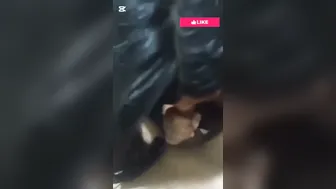 Bengali Slut Sucking Cock And Showing Off Naked Body