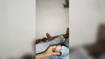 Tenant Wife Jerking Cock Before Riding Him Hard