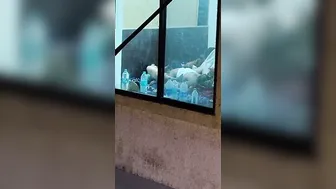 Caught Neighbor Fucking His Side Chick Through The Window