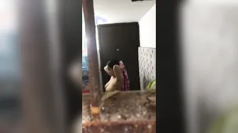 Busty Milf Caught Bathing By Horny Neighbor Watching