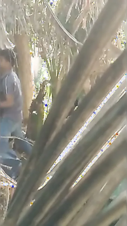 Desi Lovers Fucking Hard In Public Park Caught On Spy Cam
