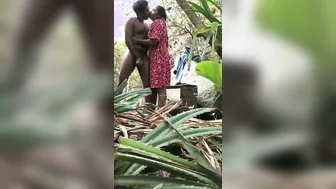 Desi Couple Lost In Jungle Fucking Wildly Naked
