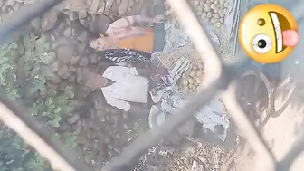 Giving Street Vendor A Sloppy Handjob Behind His Fruit Cart