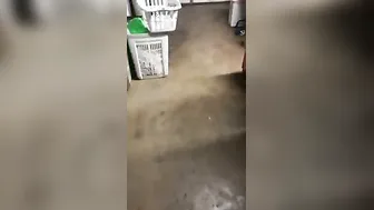 Married Woman Sucking Shop Owners Dick For Discount At Store