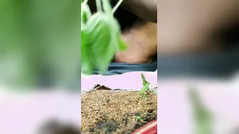 Older Aunty Fucking Young Stud Raw Outdoors In The Jungle