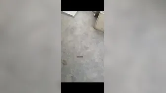 Neighbor Filming Married Aunty Getting Fucked By Her Owner