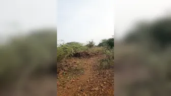 Desi Wife Fucking Outdoors In Fields Caught On Spy Cam