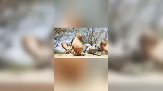 Taking Her Outdoors And Fucking Her Against The Tree Hard