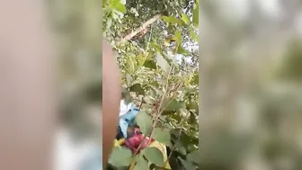 Village Aunty Bent Over In Field Getting Railed From Behind