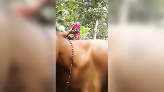 Village Aunty Bent Over In Field Getting Railed From Behind