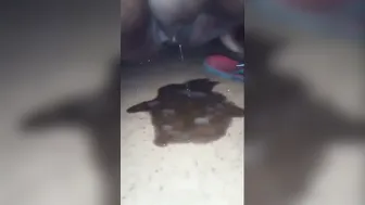 Lankan Aunty Squatting Outdoor And Pissing All Over The Place