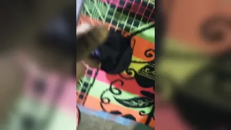 Aunty Sucking My Dick Then Begging Me To Fuck Her Holes