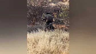 Village Aunty Getting Fucked Outdoor In The Countryside