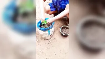 Desi Aunty Bending Over Doing Garden Work Flashing Everything