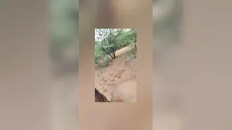 Desi Village Auntie Fucking Young Stud Outdoors Behind House