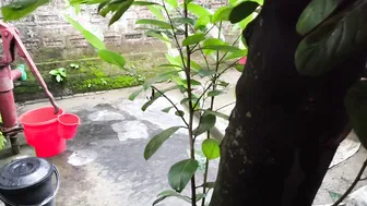 Watching Aunty Heading To Bath After Hugging And Fucking Her Ass