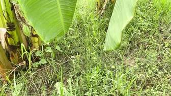 Taking Neighbor To Banana Field And Fucking Her After Hugging