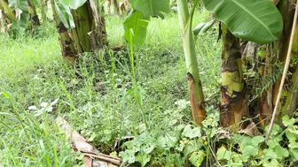 Taking Neighbor To Banana Field And Fucking Her After Hugging