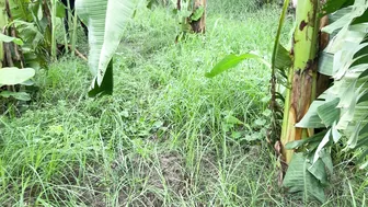 Following Aunty To Plantation And Fucking Her There Secretly