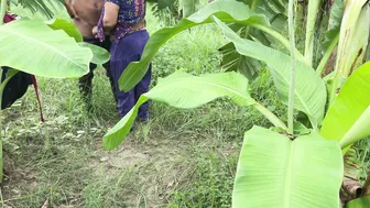 Following Aunty To Plantation And Fucking Her There Secretly
