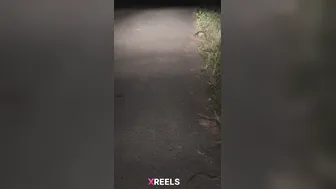 Kinky College Desi Randi Stripping Naked On Village Gaon Road