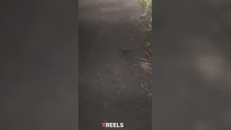 Kinky College Desi Randi Stripping Naked On Village Gaon Road