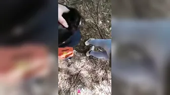 Didi Behene Hiking Karte Rizz Wale Se Thokwaai