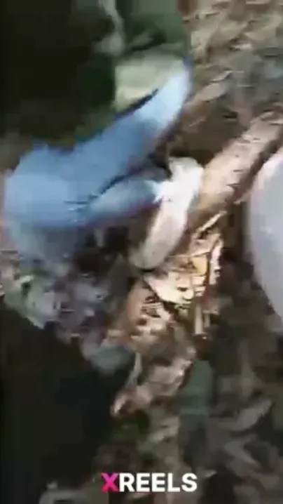 Two Hot Desi Sisters Screwing Rizz Guy On Shimla Hiking Trail
