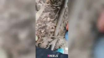 Two Desi Sisters Banging Rizz Guy While Hiking In Shimla Woods