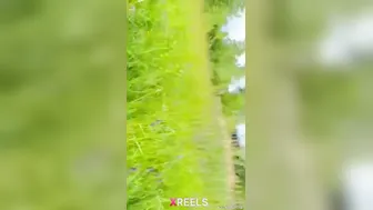 Shy Naughty Desi Girl Banged In Field By Fb Friend Near Agra