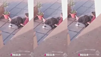 Uni Campus Mein Gf Lund Chuske Swallow Karti Hui