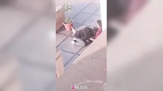 Uni Campus Mein Gf Lund Chuske Swallow Karti Hui