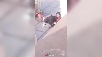 Uni Campus Mein Gf Lund Chuske Swallow Karti Hui