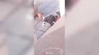 Uni Campus Mein Gf Lund Chuske Swallow Karti Hui