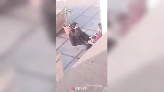 Uni Campus Mein Gf Lund Chuske Swallow Karti Hui