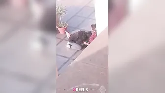 Uni Campus Mein Gf Lund Chuske Swallow Karti Hui