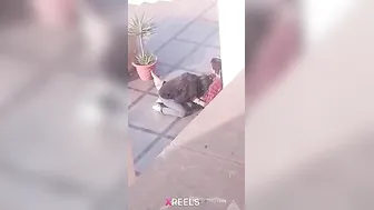 Uni Campus Mein Gf Lund Chuske Swallow Karti Hui