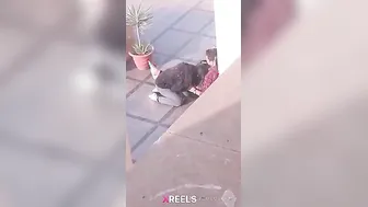 Uni Campus Mein Gf Lund Chuske Swallow Karti Hui