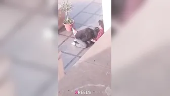 Uni Campus Mein Gf Lund Chuske Swallow Karti Hui