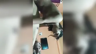 Desi Village Wifey Smiling Riding Hubby's Dick Hard