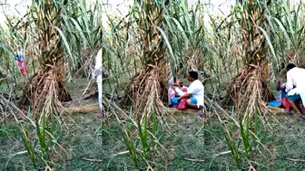 Village Bhabhi Dropping Saree For Outdoor Devar Cock Ride Scandal