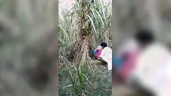 Village Bhabhi Dropping Saree For Outdoor Devar Cock Ride Scandal