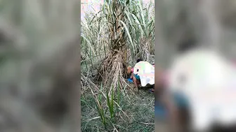 Village Bhabhi Dropping Saree For Outdoor Devar Cock Ride Scandal