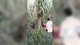 Village Bhabhi Dropping Saree For Outdoor Devar Cock Ride Scandal