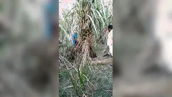 Village Bhabhi Dropping Saree For Outdoor Devar Cock Ride Scandal