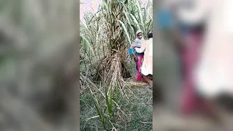 Village Bhabhi Dropping Saree For Outdoor Devar Cock Ride Scandal